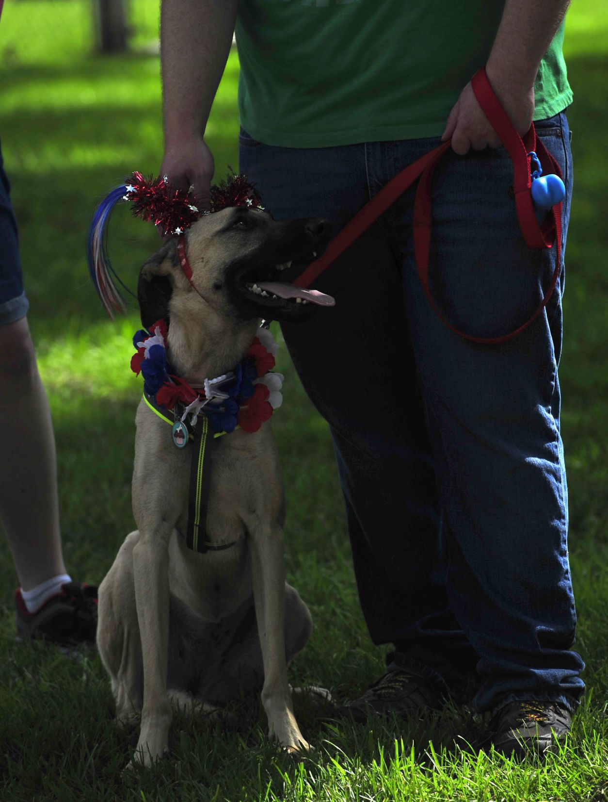 Red, White and Blue Days 2019 15 (07/03/19)